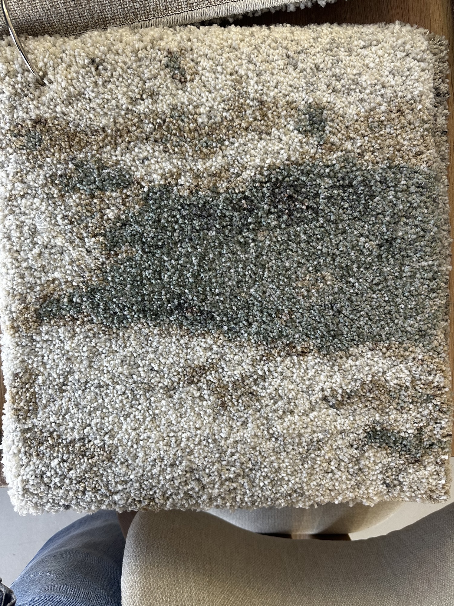 Moss Restless Rug